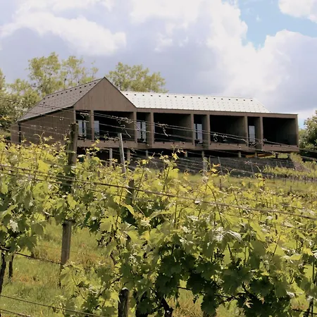 Apartament Der Zweytick - Weingut, Buschenschank & Ehrenhausen